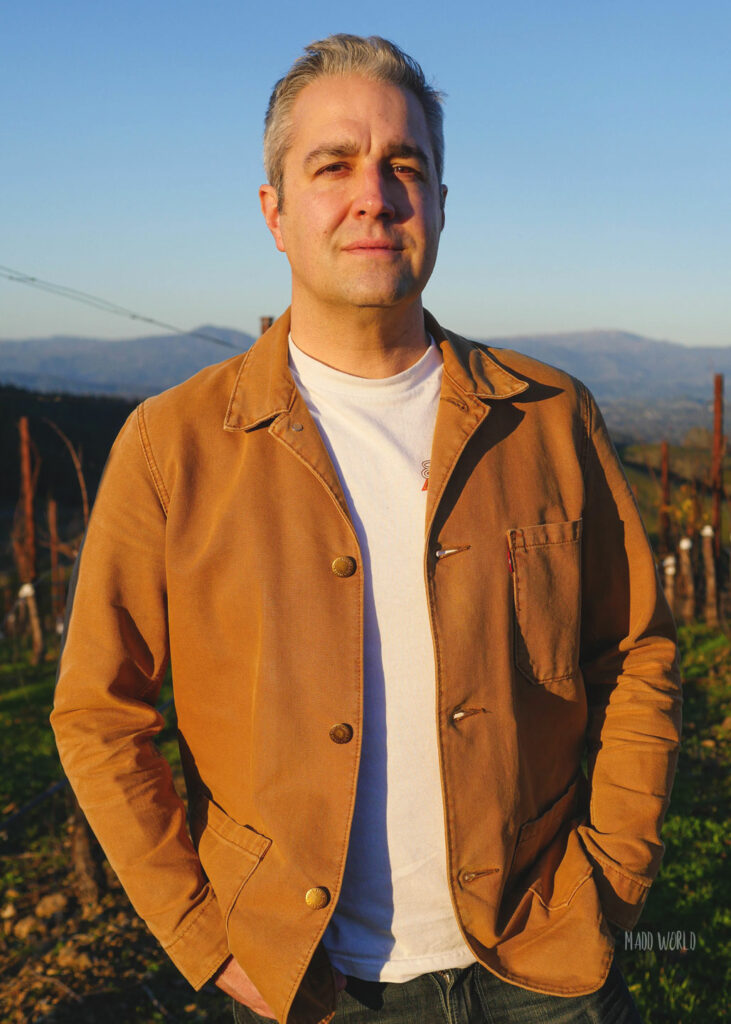 Thomas in the vineyard in sunset light